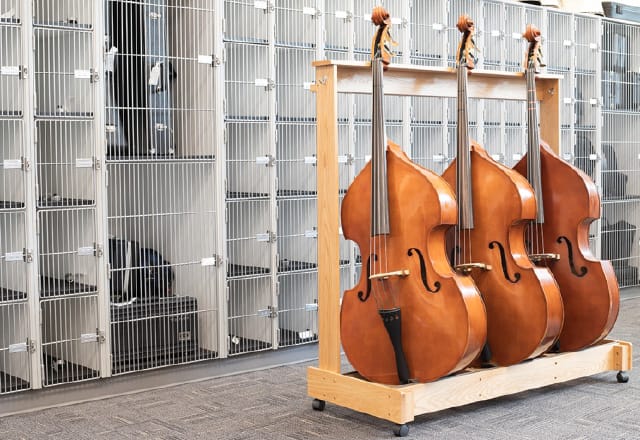 Storage for Bass Instruments